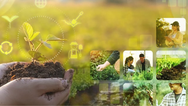 Agroécologie : définition, principes et avantages