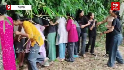 ਬਾਂਸ ਦੀ ਝਾੜੀ ਵਿੱਚ ਫਸ ਗਿਆ ਸੀ ਬਾਘ ਦਾ ਬੱਚਾ, ਲੋਕਾਂ ਨੇ ਆ ਕੇ ਬਚਾਈ ਉਸਦੀ ਜਾਨ