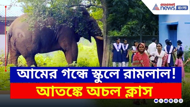 Jhargram News Today : আমের গন্ধে স্কুলে ঢুকে পড়ল রামলাল! আতঙ্কে শিক্ষক-পড়ুয়ারা | Bangla News