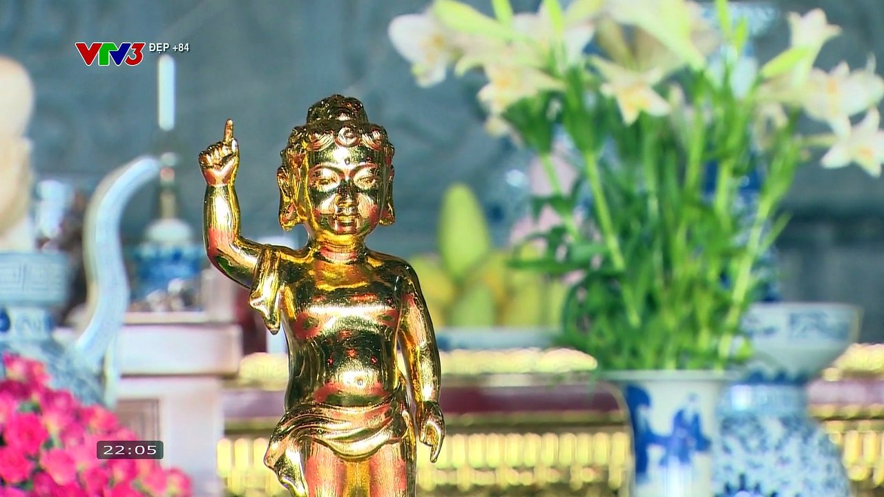 VTV3 (2025-06-04 21.56.01)[Trim]