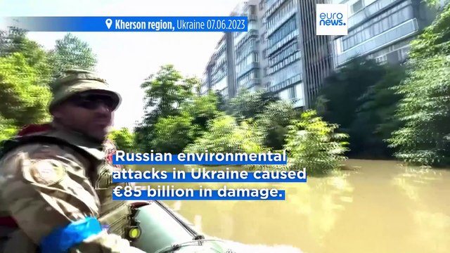 Russian environmental attacks in Ukraine caused €85 billion in damage, Kyiv estimates