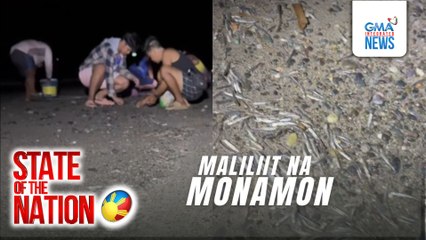 Maliliit na isdang Monamon na inanod sa dalampasigan, pinagpiyestahan ng mga residente | SONA