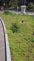 Ripepi - Vi aggiorno. Volano frottole da tutte le parti. La serie D ci perseguita. (04.06.25)