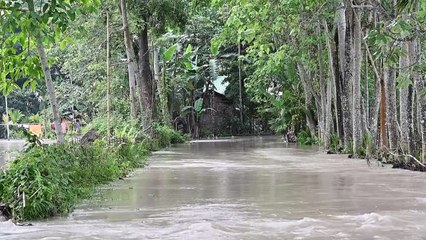 أمطار غزيرة تتسبب بفيضانات في ولاية شمال شرق الهند