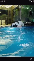 Te abandonaré para la 99 vez SMax CN ES