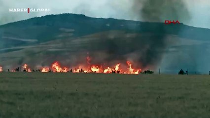 Siirt’te yıldırımın isabet ettiği çam ağacı yarıldı, 200 dönüm buğday yandı