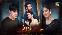 Raaja Rani - Episode 09 - 4th Jun 2025 [ Hina Afridi & Faysal Qureshi ] - HUM TV