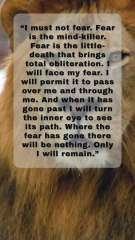 "Fear Is the Mind-Killer | Dune Motivation for Courage and Strength" #motivation  #stayfocused
