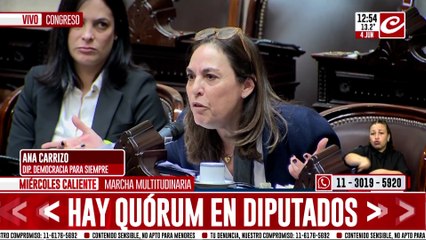 Ana Carrizo: "Ningún gobierno puede limitar a las comisiones"