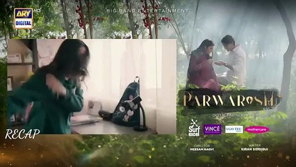Parwarish Episode 19 -2025