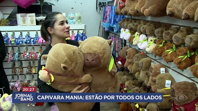 Capivaras viram fenômeno entre crianças e adolescentes