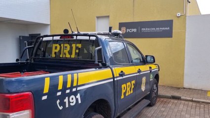 Homem é preso após fugir da PRF e ser atacado por cão rottweiler em quintal de residência
