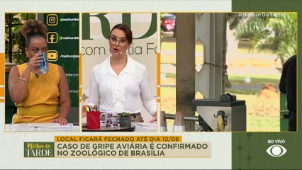 Caso de gripe aviária é confirmado no Zoológico de Brasília | Melhor da Tarde
