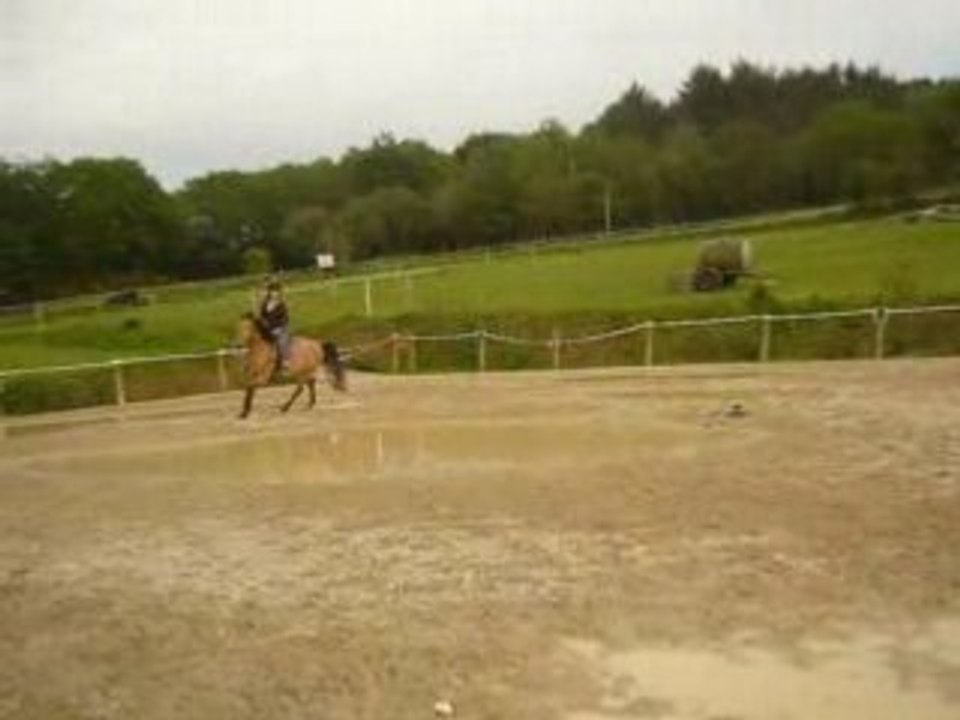 Clémence et Isatis à l'obstacle