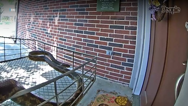 Texas Woman Finds Chilling Sight After 'Large' Creature Rings Her Doorbell Camera