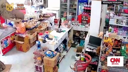 Elefante invade loja e "rouba" comida na Tailândia