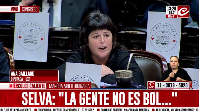 Ana Galliard: No queremos destituir a Javier Milei, queremos investigarlo