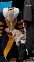 Florida School's First 'Chemistry Service Dog' Honored at Owner's Graduation for Making Science More Accessible