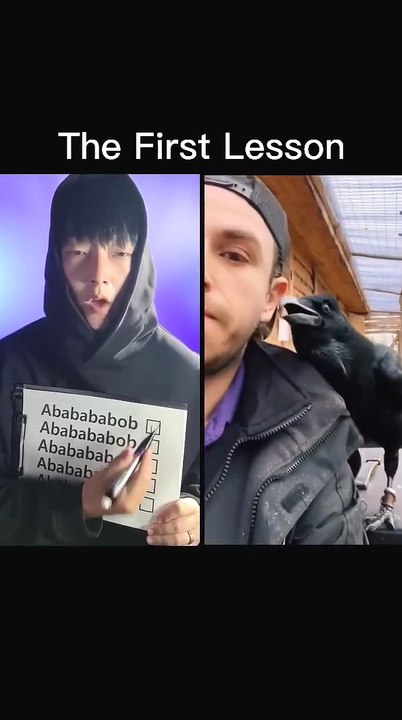 Perfect Lesson #beatbox