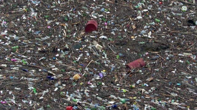 ¡Esperanza en el Océano! Bacterias marinas podrían ser la clave para degradar el plástico