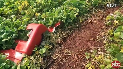 Caminhoneiro fica preso em lavoura após acidente na BR-277 e proprietário da terra exige R$ 22 mil para liberação