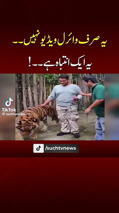 Shair yani Lion palna mehnga par gaya is bhai ko