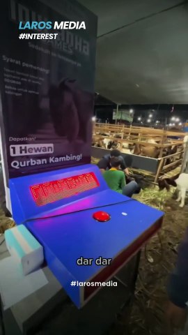 3000 Rupiah Dapat Kambing, Hoki Sekali Seumur Hidup Kepake, Warganet Curiga Sistem Judi