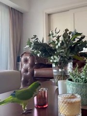 Zaira Nara le pasó factura a Wanda mientras ella pasea por Europa: el video