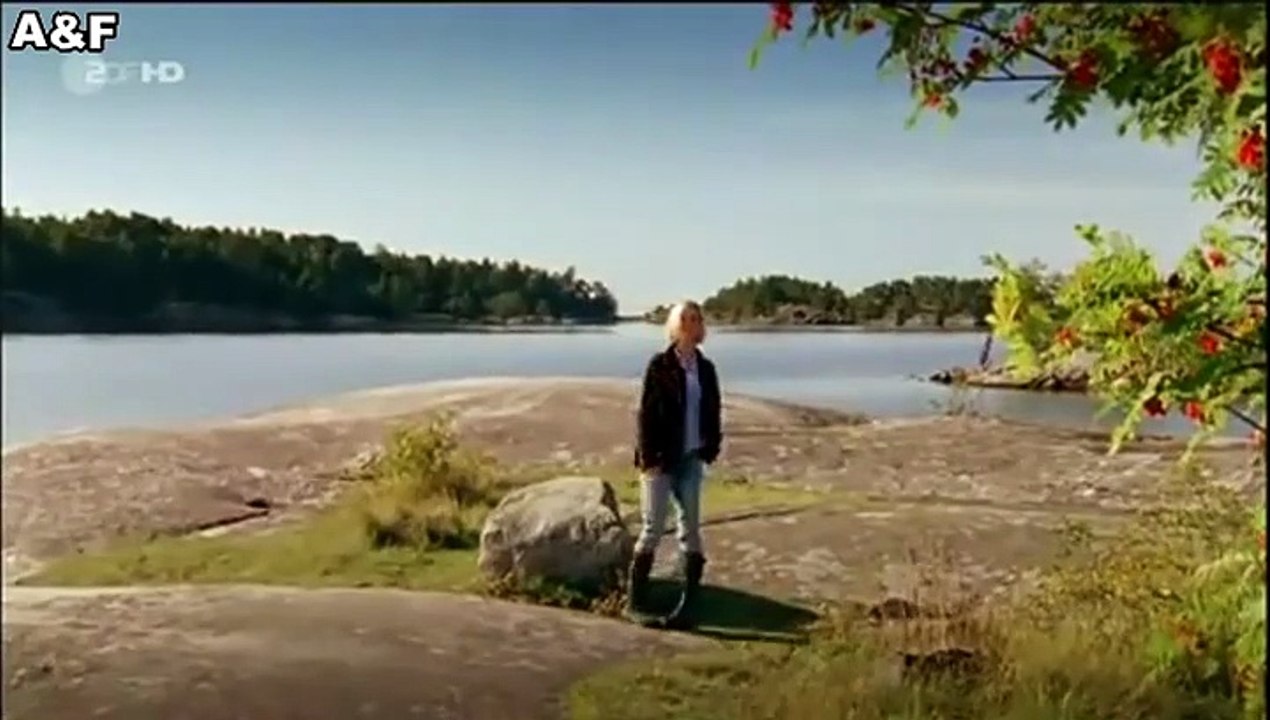 Inga Lindström -032- Mein falscher Verlobter