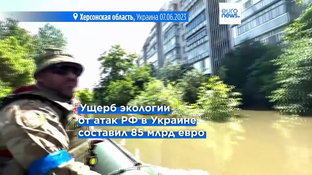 Из-за вторжения России страдает природа Украины: ущерб оценивается минимум в 85 млрд евро