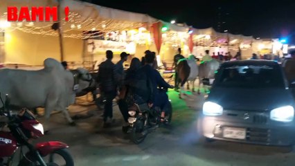 KDA Chourangi ki Shan (EP 1) : District Central kay Janwar