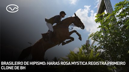 Brasileiro de hipismo: haras Rosa Mystica registra primeiro clone de BH