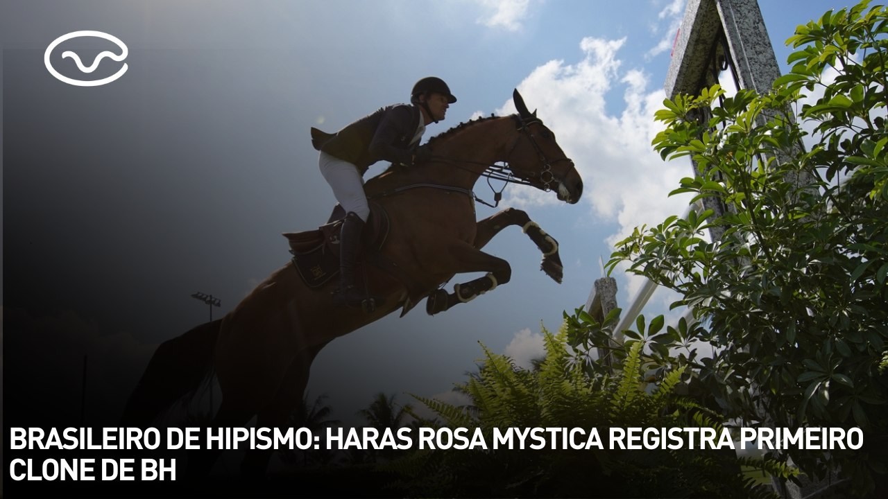 Brasileiro de hipismo: haras Rosa Mystica registra primeiro clone de BH