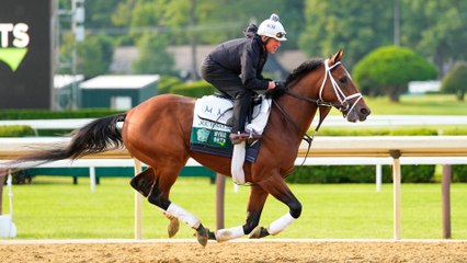 Journalism Looks for Another Massive Win at Belmont Stakes