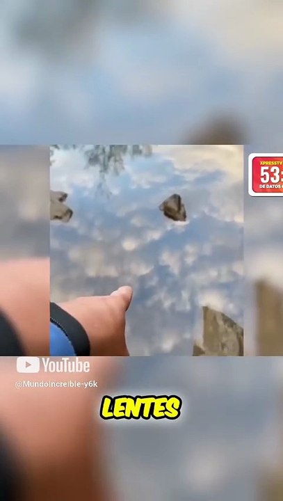 ¡Descubre cómo los lentes polarizados revelan secretos del agua!#datoscuriosos