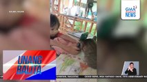 Pusang tila ginawang cell phone holder ng batang lalaki, kinaaaliwan | Unang Balita