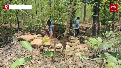 पानी बचाने की मुहिम! आठवीं पास मैरी सुरीन ने तैयार किया दर्जनों पत्थर बांध, जंगली जानवरों के लिए बना वरदान