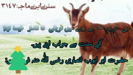 کیا ایک قربانی پورے گھر کے افراد کےلئے قافی یے