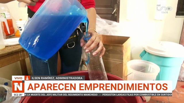 EMPRENDIMIENTOS ANTE LA CRISIS