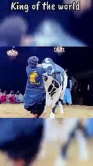 Aggressive bull hit the man 😱🔥😱😢#dairyfarm #shorts#bull #ytshorts#farm#villagelife #cowu