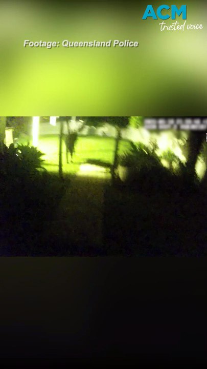 Police dog shows off its tracking skills in Far North QLD