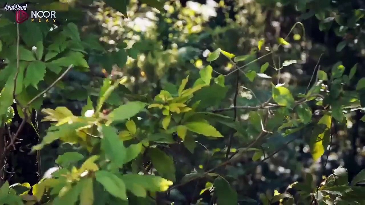 المؤسس عثمان الجزء السادس ـ الحلقة 194 ـ الجزء...