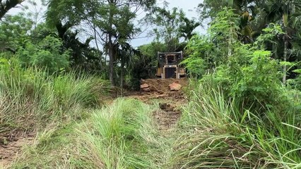 The Importance of D6R XL Bulldozer Service for Old Roads in the Plantation Area