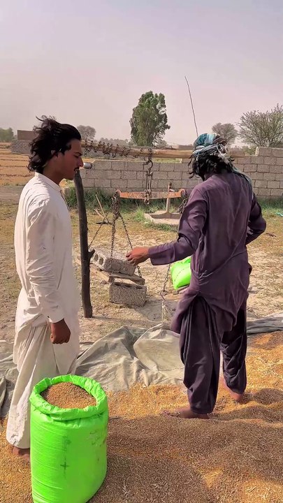 Gandum k sath hera pheri 🤣