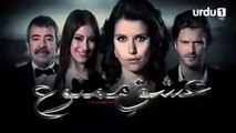 Ishq e Mamnu  _  EPISODE  11  _  Turkish drama [URDU DUBBED]