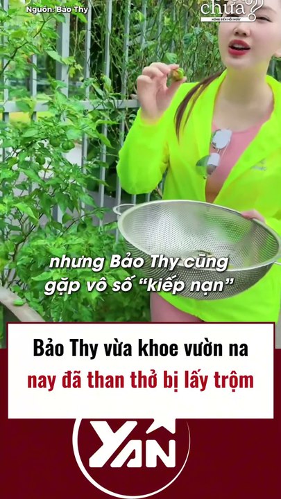 Bảo Thy khoe vườn Na nay bị mất trộm