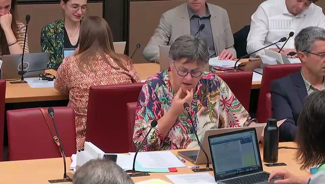 Commission des affaires économiques : Programmation nationale et simplification normative dans le secteur économique de l’énergie (suite) - Mercredi 4 juin 2025