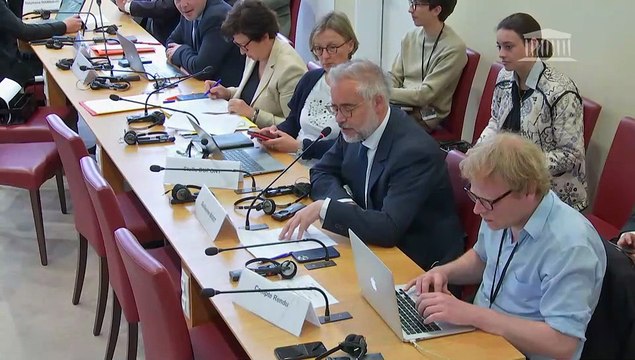 Commission des affaires étrangères : Défis posés par le nouvel environnement numérique et technologique aux démocraties occidentales ; Cacique Tau Metuktire, chef du peuple Kayapo et petit-fils du cacique Raoni Metuktire - Mercredi 4 juin 2025
