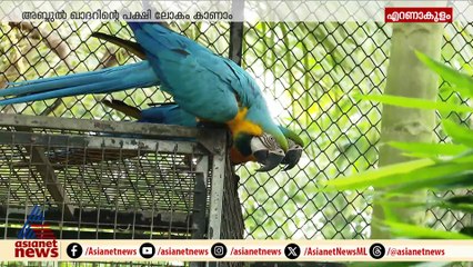 ആ വൈറല്‍ ഒട്ടകപക്ഷി ഇവിടെ ഉണ്ട്; കാണാം ആലുവയിലെ അബ്ദുള്‍ ഖാദറിന്‍റെ പക്ഷി സങ്കേതം