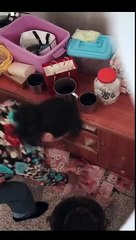 Against All Odds Full Chinese Drama